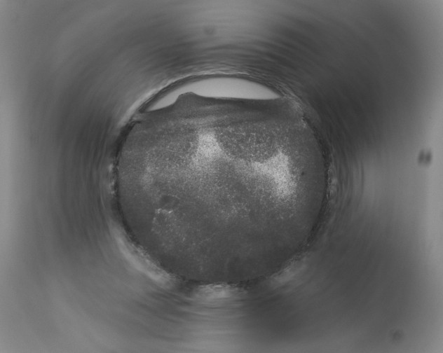 X0000113160351200909251358