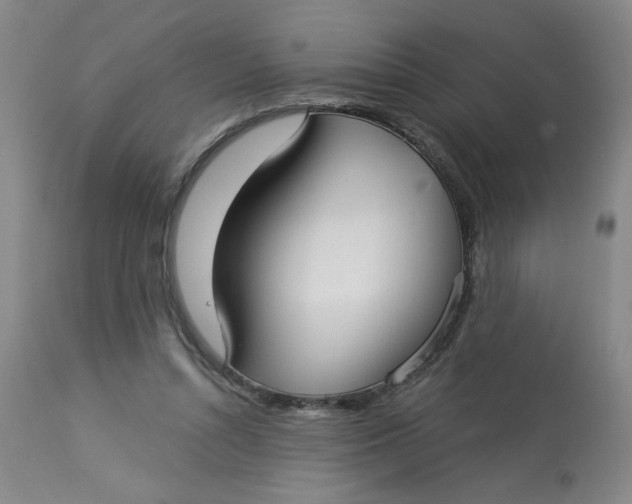 X0000113160352200909251358