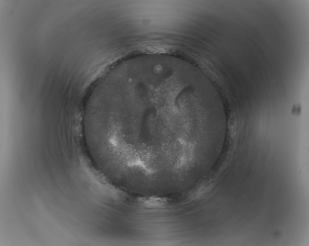 X0000113160359200909251358