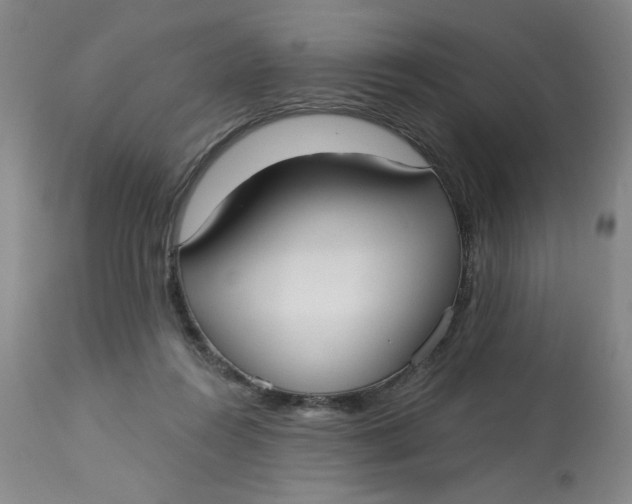 X0000113160360200909251358