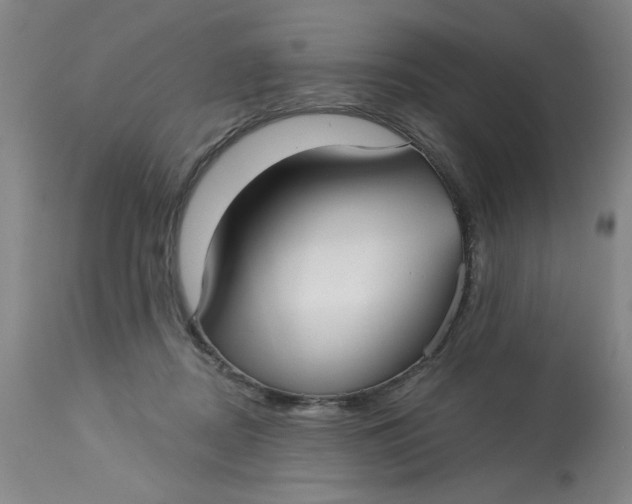 X0000113160362200909251358