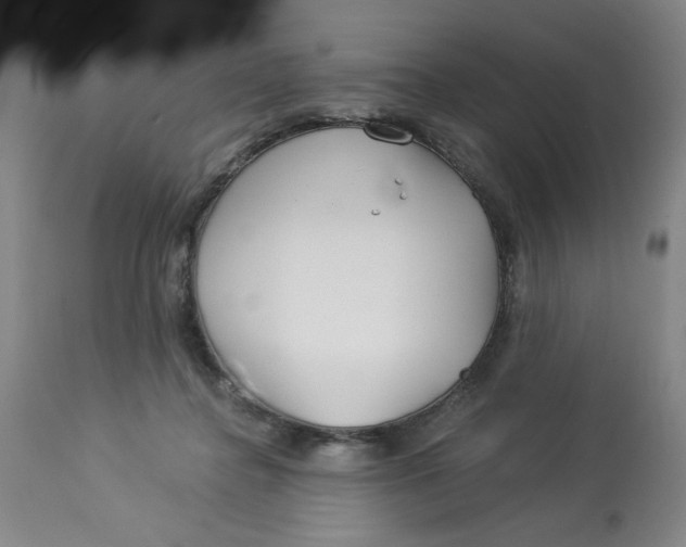 X0000113160364200909251358