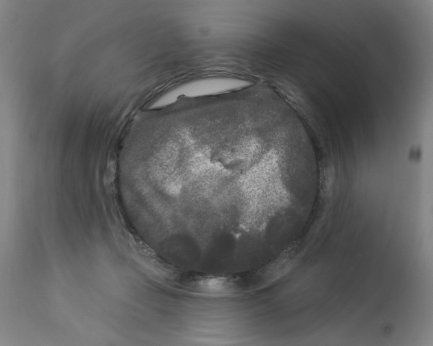 X0000113160365200909251358