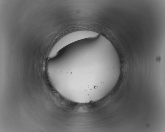 X0000113160368200909251358