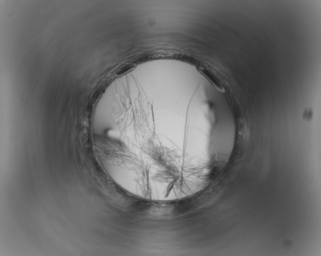 X0000113160369200909251358