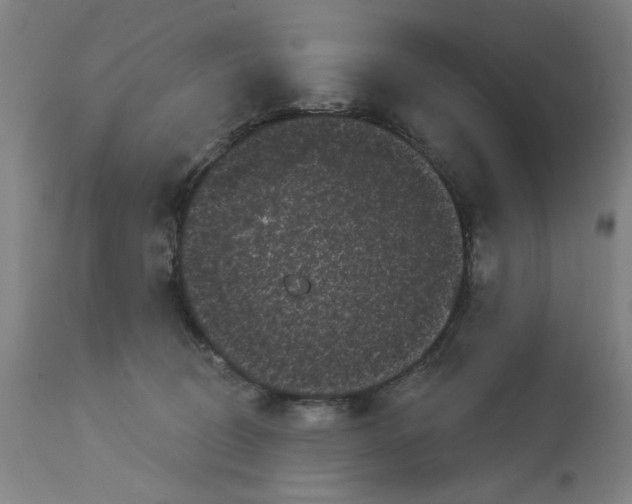 X0000113160370200909251358