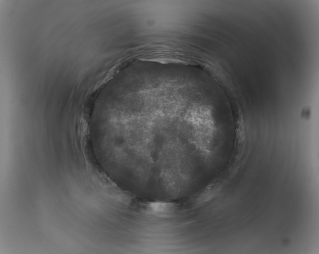 X0000113160371200909251358