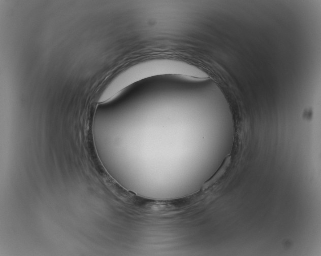 X0000113160372200909251358