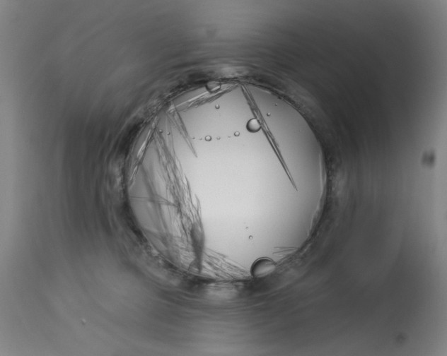 X0000113160373200909251358