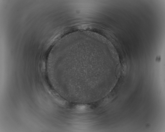 X0000113160375200909251358