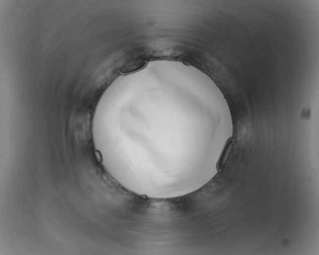 X0000113160376200909251358