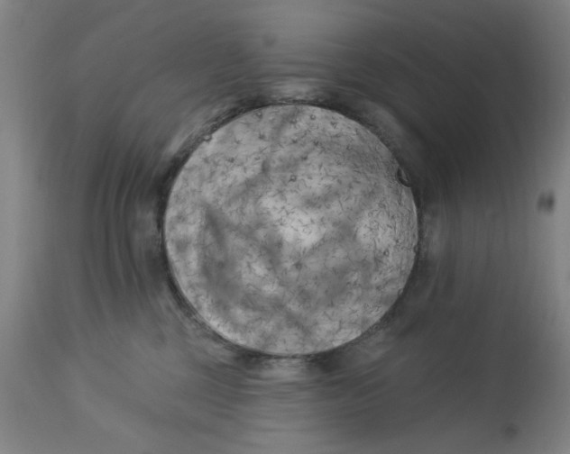 X0000113160377200909251358