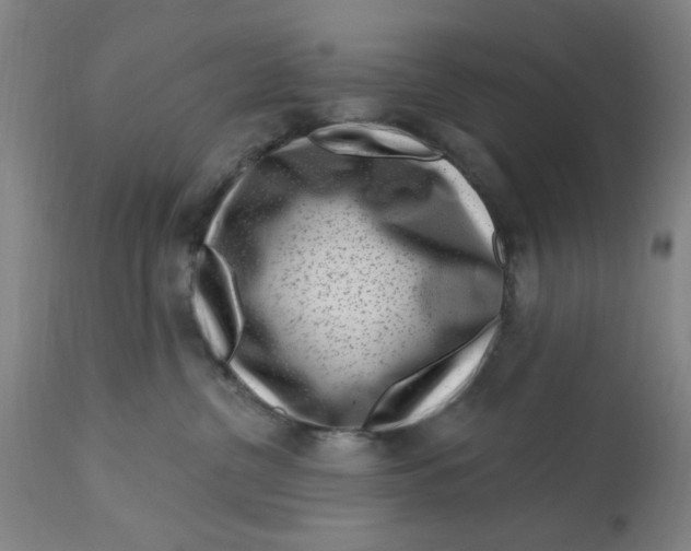 X0000113160380200909251358