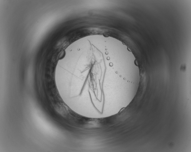 X0000113160381200909251358