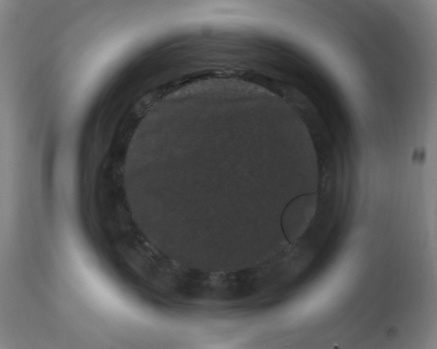 X0000113160383200909251358