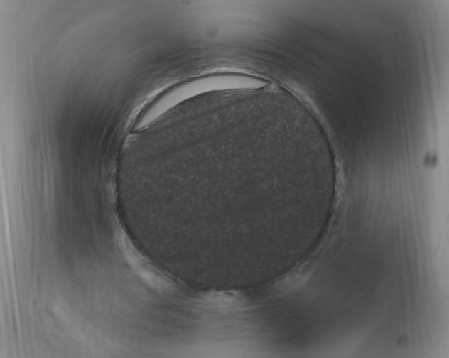 X0000113160386200909251357