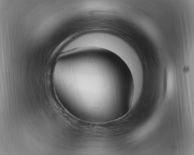 X0000113160387200909251357