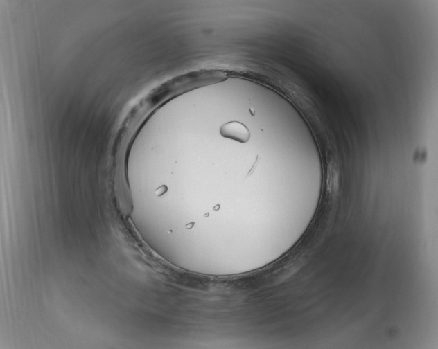 X0000113160388200909251357