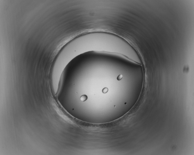 X0000113160389200909251357