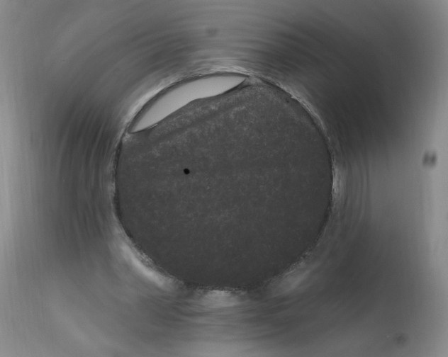 X0000113160390200909251357