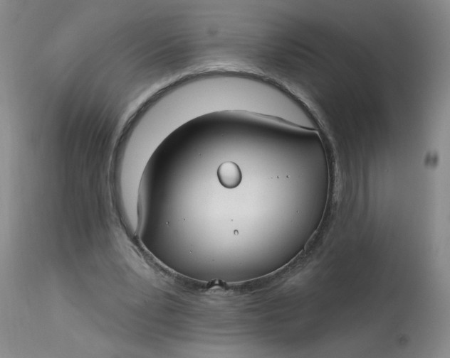 X0000113160391200909251357