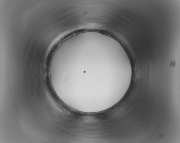 X0000113160392200909251357