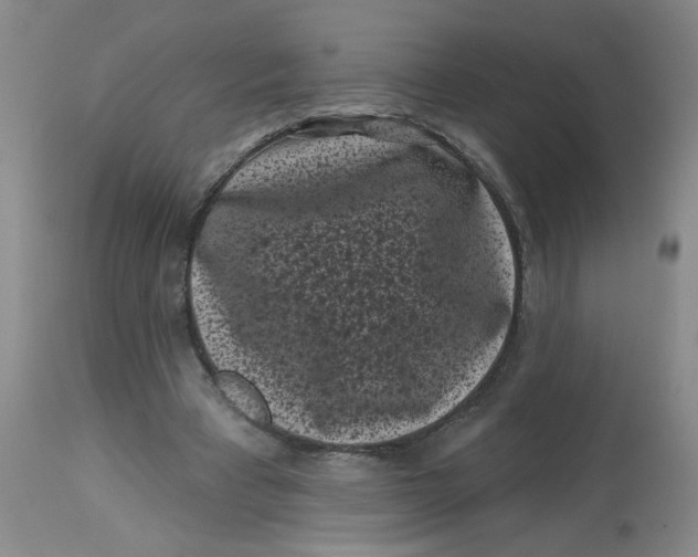 X0000113160393200909251357