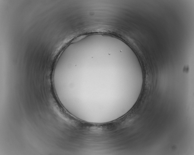 X0000113160394200909251357