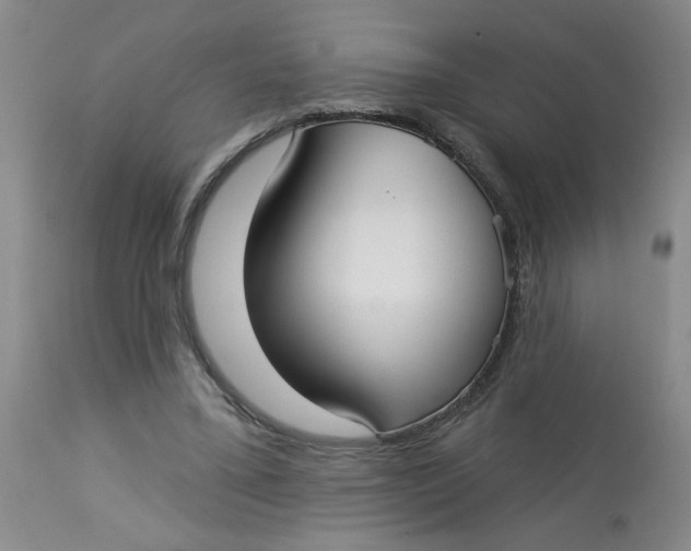 X0000113160395200909251357