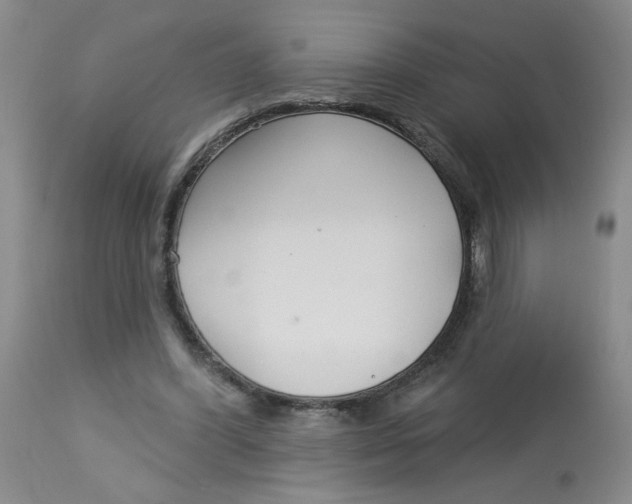 X0000113160396200909251357