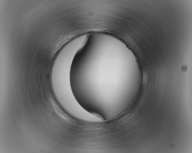 X0000113160397200909251357