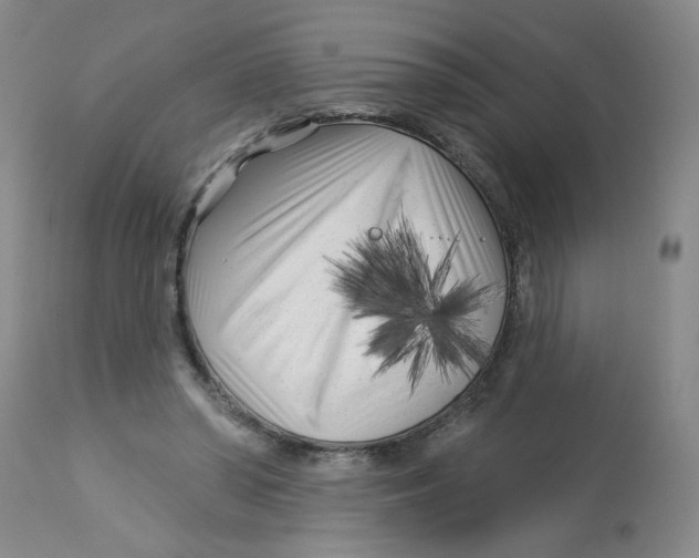 X0000113160398200909251357