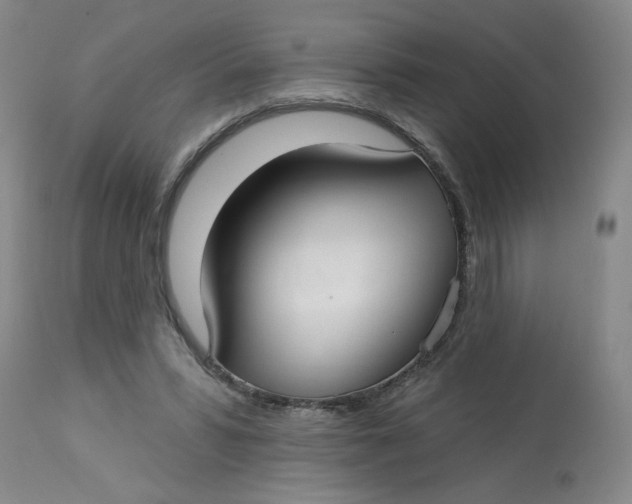 X0000113160399200909251357