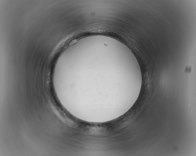 X0000113160400200909251357