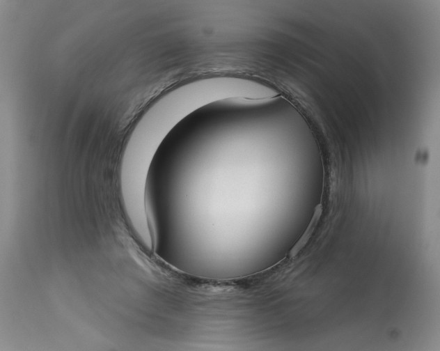 X0000113160401200909251357