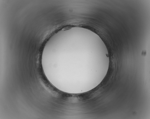 X0000113160404200909251357