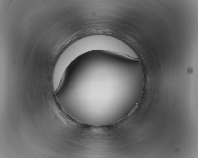 X0000113160405200909251357