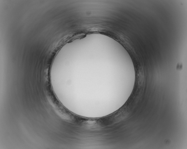 X0000113160406200909251357