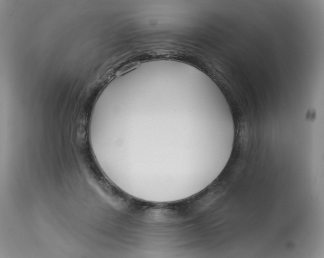 X0000113160408200909251357