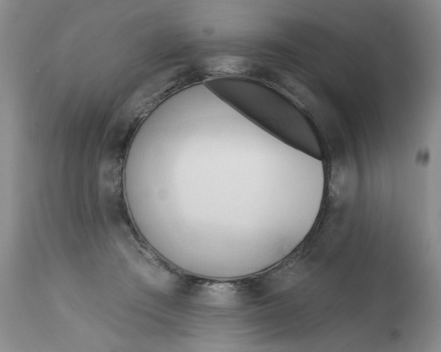 X0000113160409200909251357