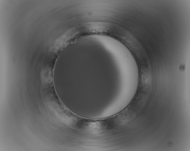 X0000113160411200909251357