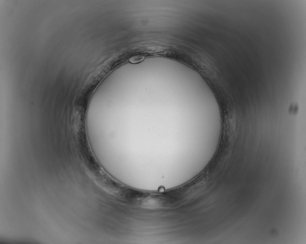 X0000113160412200909251357