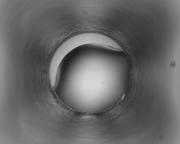 X0000113160415200909251357