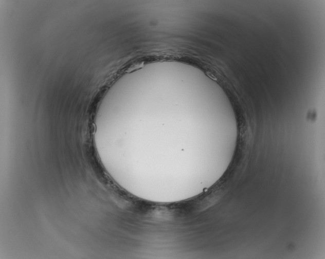 X0000113160416200909251357