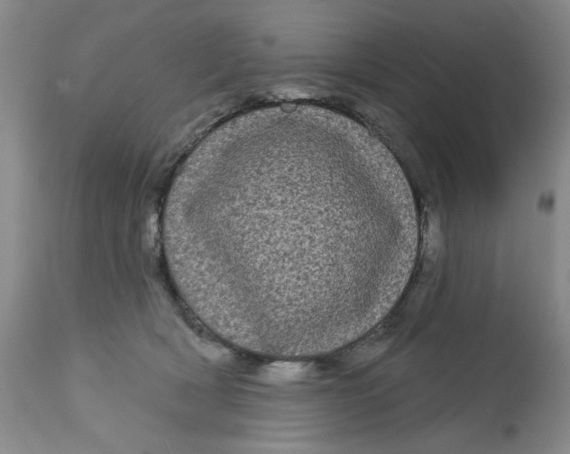 X0000113160418200909251357