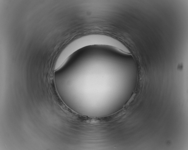 X0000113160419200909251357