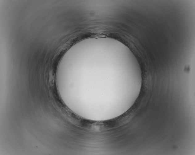 X0000113160420200909251357