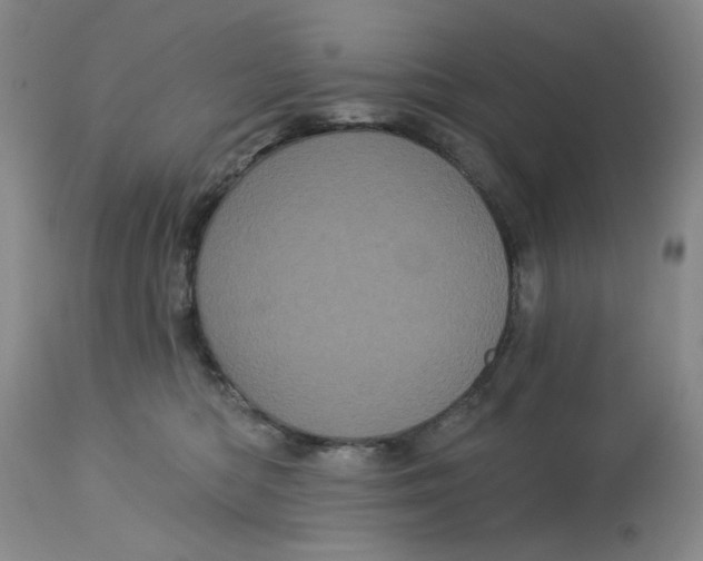 X0000113160422200909251357