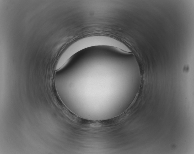 X0000113160423200909251357