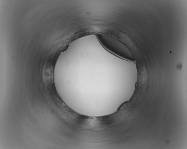 X0000113160425200909251356